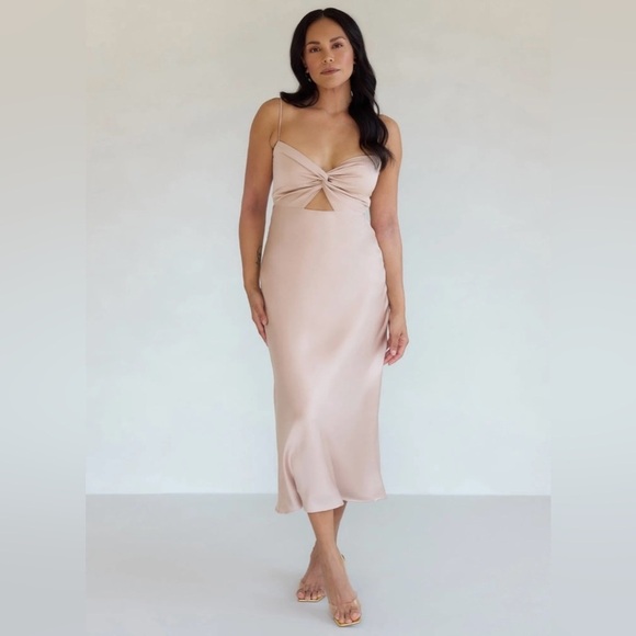 Park & Fifth Dresses & Skirts - Park & Fifth Aletta Blush Pink Dress